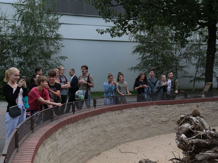 Häufig genanntes Lieblingstier: Das Erdmännchen. Foto: privat